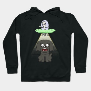 Funny black dog is being abducted by aliens Hoodie